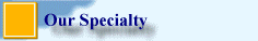 Our Specialty